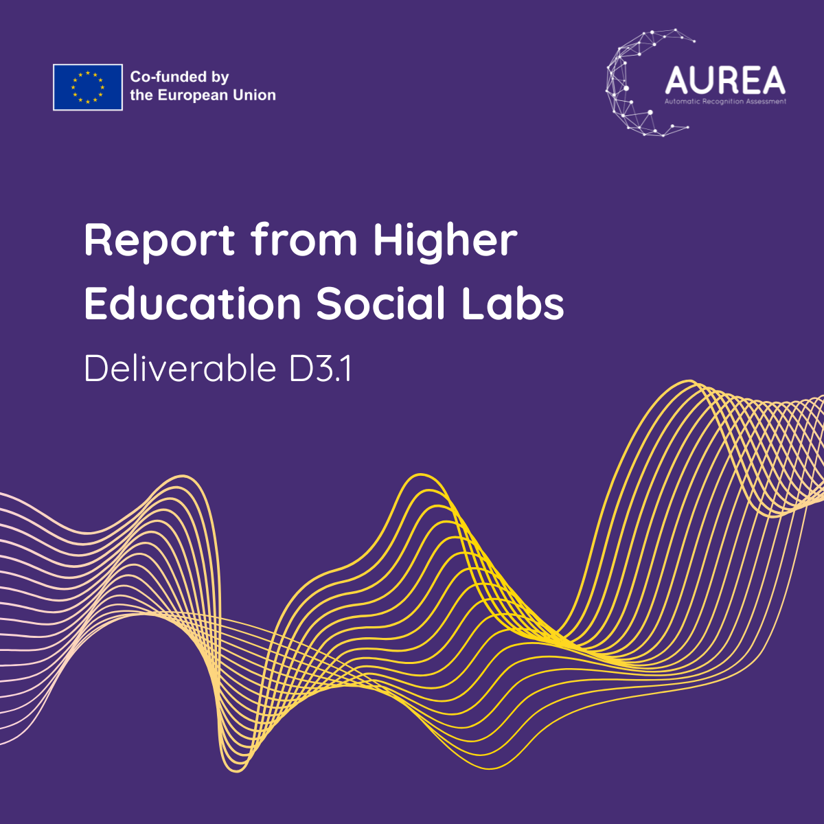 Cover of the report
